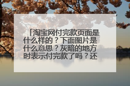 淘宝网付完款页面是什么样的?下面图片是什么意思?灰暗的地方时表示付完款了吗?还是怎么样啊????
