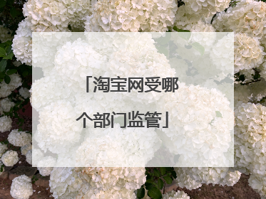 淘宝网受哪个部门监管