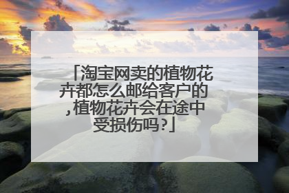 淘宝网卖的植物花卉都怎么邮给客户的,植物花卉会在途中受损伤吗?