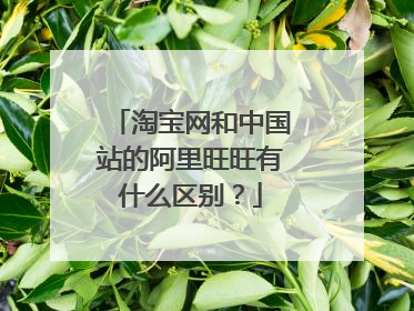 淘宝网和中国站的阿里旺旺有什么区别?