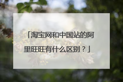 淘宝网和中国站的阿里旺旺有什么区别?