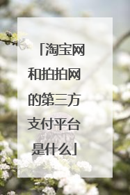 淘宝网和拍拍网的第三方支付平台是什么