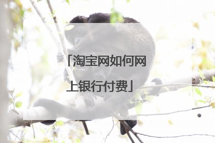 淘宝网如何网上银行付费