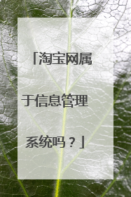淘宝网属于信息管理系统吗?