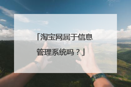 淘宝网属于信息管理系统吗?