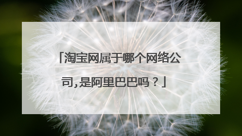淘宝网属于哪个网络公司,是阿里巴巴吗?