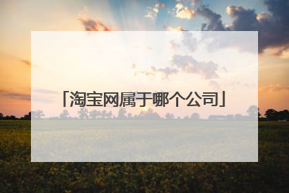 淘宝网属于哪个公司