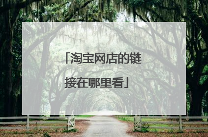 淘宝网店的链接在哪里看