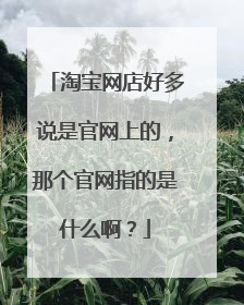 淘宝网店好多说是官网上的,那个官网指的是什么啊?