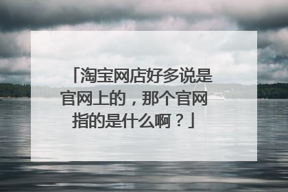 淘宝网店好多说是官网上的,那个官网指的是什么啊?