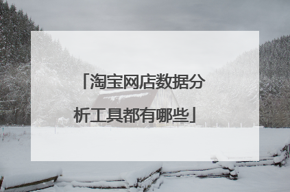 淘宝网店数据分析工具都有哪些