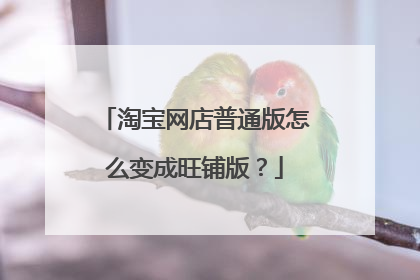 淘宝网店普通版怎么变成旺铺版?