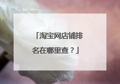 淘宝网店铺排名在哪里查?