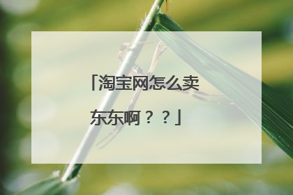淘宝网怎么卖东东啊??