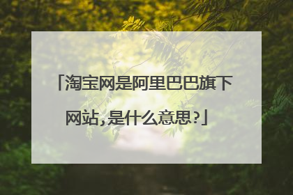 淘宝网是阿里巴巴旗下网站,是什么意思?