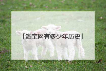 淘宝网有多少年历史