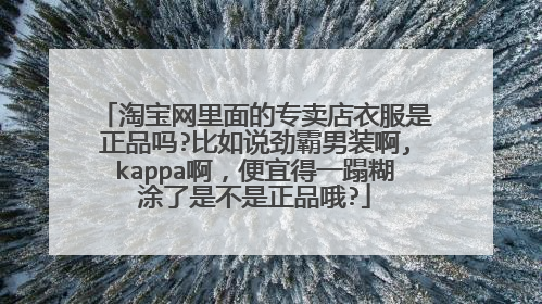 淘宝网里面的专卖店衣服是正品吗?比如说劲霸男装啊,kappa啊,便宜得一蹋糊涂了是不是正品哦?