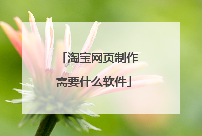 淘宝网页制作需要什么软件