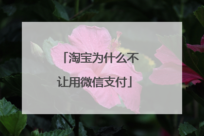 淘宝为什么不让用微信支付