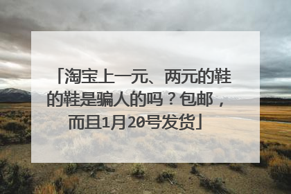 淘宝上一元、两元的鞋的鞋是骗人的吗?包邮,而且1月20号发货