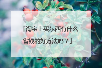 淘宝上买东西有什么省钱的好方法吗?