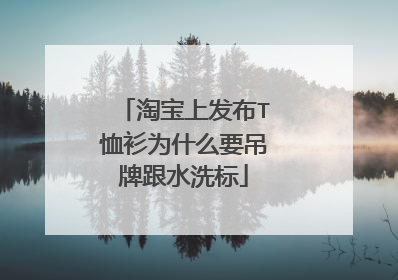 淘宝上发布T恤衫为什么要吊牌跟水洗标