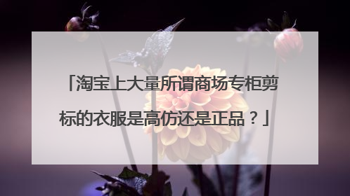 淘宝上大量所谓商场专柜剪标的衣服是高仿还是正品?