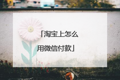 淘宝上怎么用微信付款