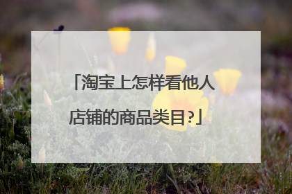淘宝上怎样看他人店铺的商品类目?