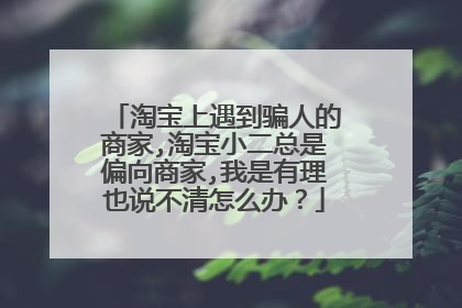 淘宝上遇到骗人的商家,淘宝小二总是偏向商家,我是有理也说不清怎么办?