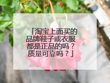 淘宝上面买的品牌鞋子或衣服都是正品的吗?质量可靠吗?