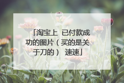 淘宝上 已付款成功的图片（买的是关于刀的） 速速