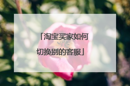 淘宝买家如何切换别的客服