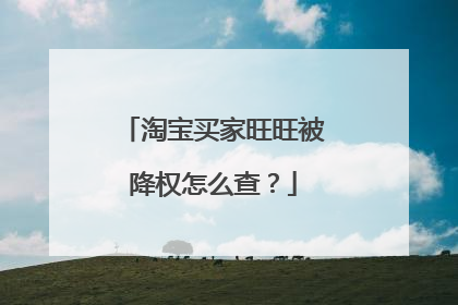淘宝买家旺旺被降权怎么查?