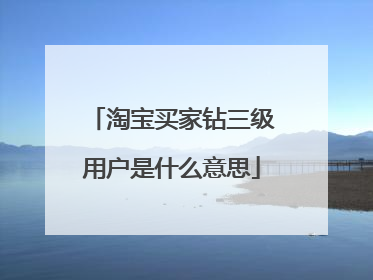 淘宝买家钻三级用户是什么意思