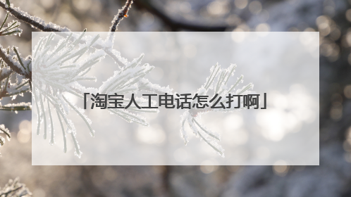 淘宝人工电话怎么打啊