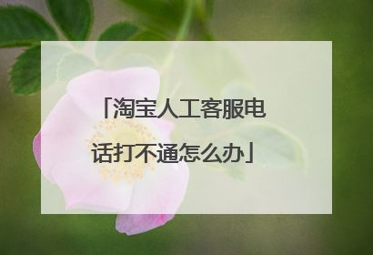 淘宝人工客服电话打不通怎么办