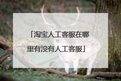 淘宝人工客服在哪里有没有人工客服