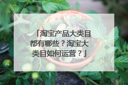 淘宝产品大类目都有哪些?淘宝大类目如何运营?