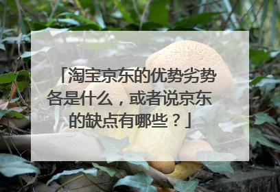 淘宝京东的优势劣势各是什么,或者说京东的缺点有哪些?