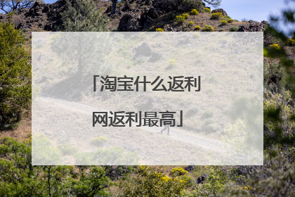 淘宝什么返利网返利最高