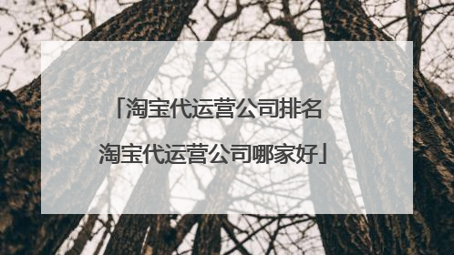 淘宝代运营公司排名 淘宝代运营公司哪家好