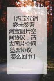 淘宝代销 您未签署淘宝图片空间协议,请去图片空间签署协议 怎么回事
