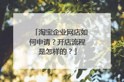 淘宝企业网店如何申请?开店流程是怎样的?