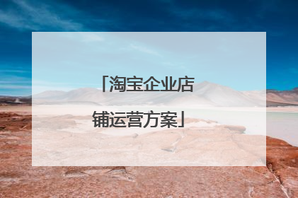 淘宝企业店铺运营方案