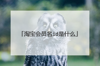 淘宝会员名id是什么