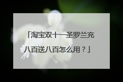 淘宝双十一圣罗兰充八百送八百怎么用?