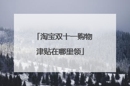 淘宝双十一购物津贴在哪里领