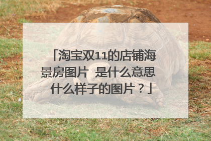 淘宝双11的店铺海景房图片 是什么意思 什么样子的图片?