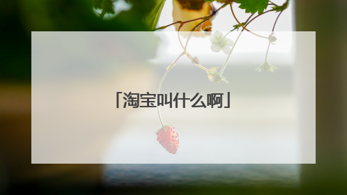 淘宝叫什么啊